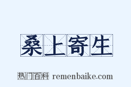 桑上寄生是什么意思的图片